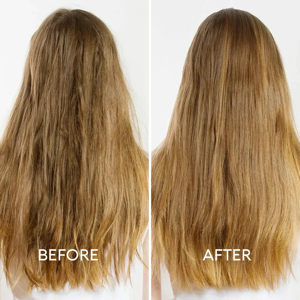 Instant Defrizz & Shine Duo