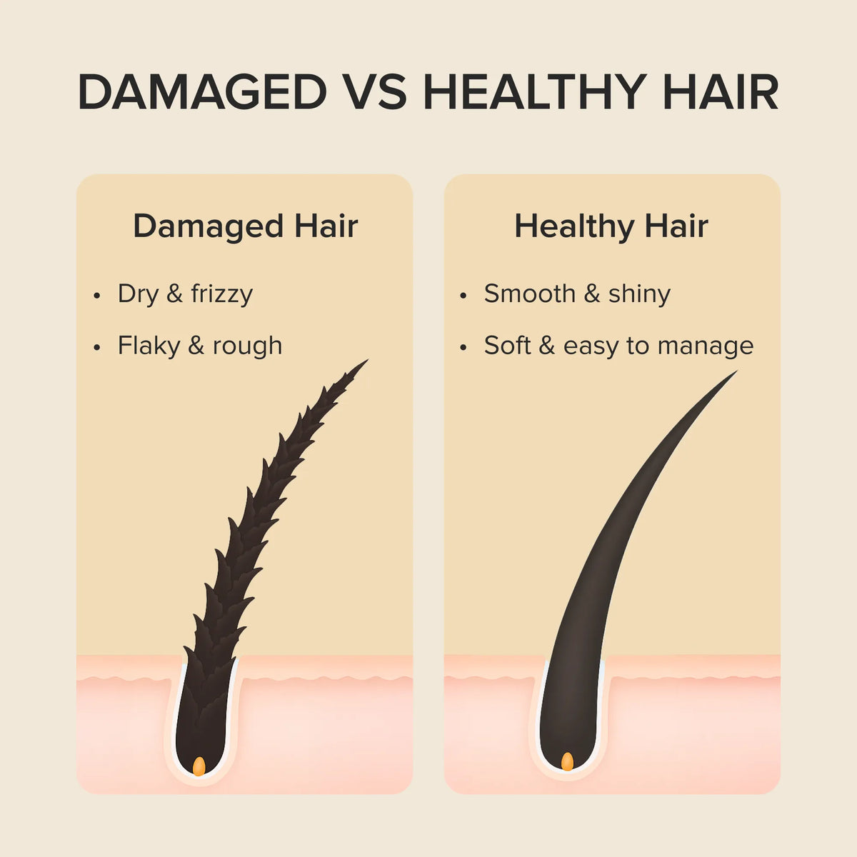 Instant Defrizz & Shine Duo