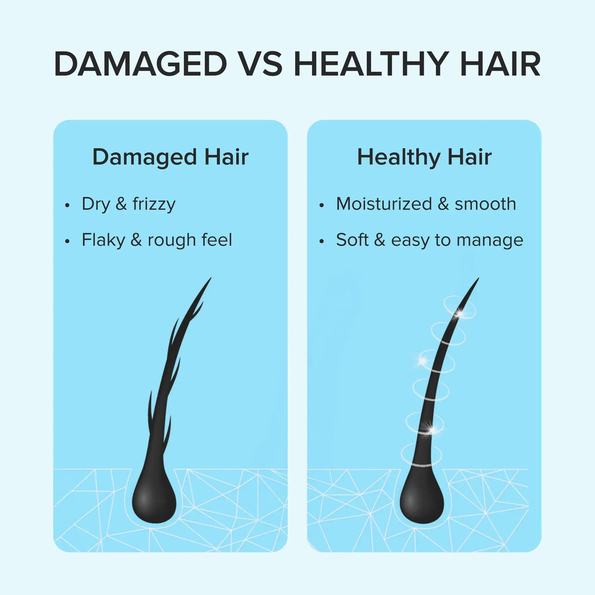 Ultimate Hair Recovery Duo