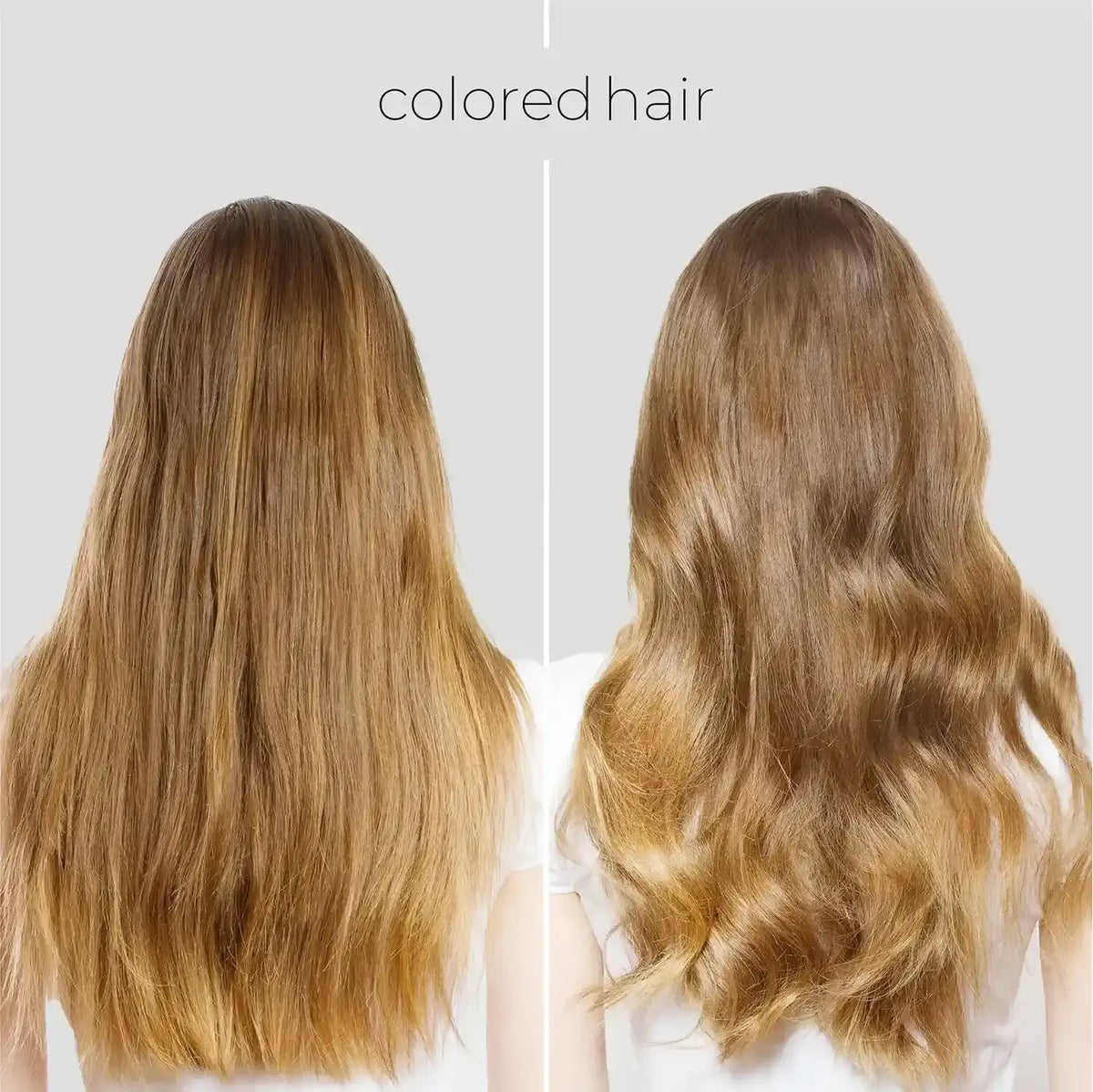 Ultimate Hair Recovery Duo